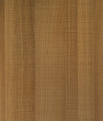 6487AN